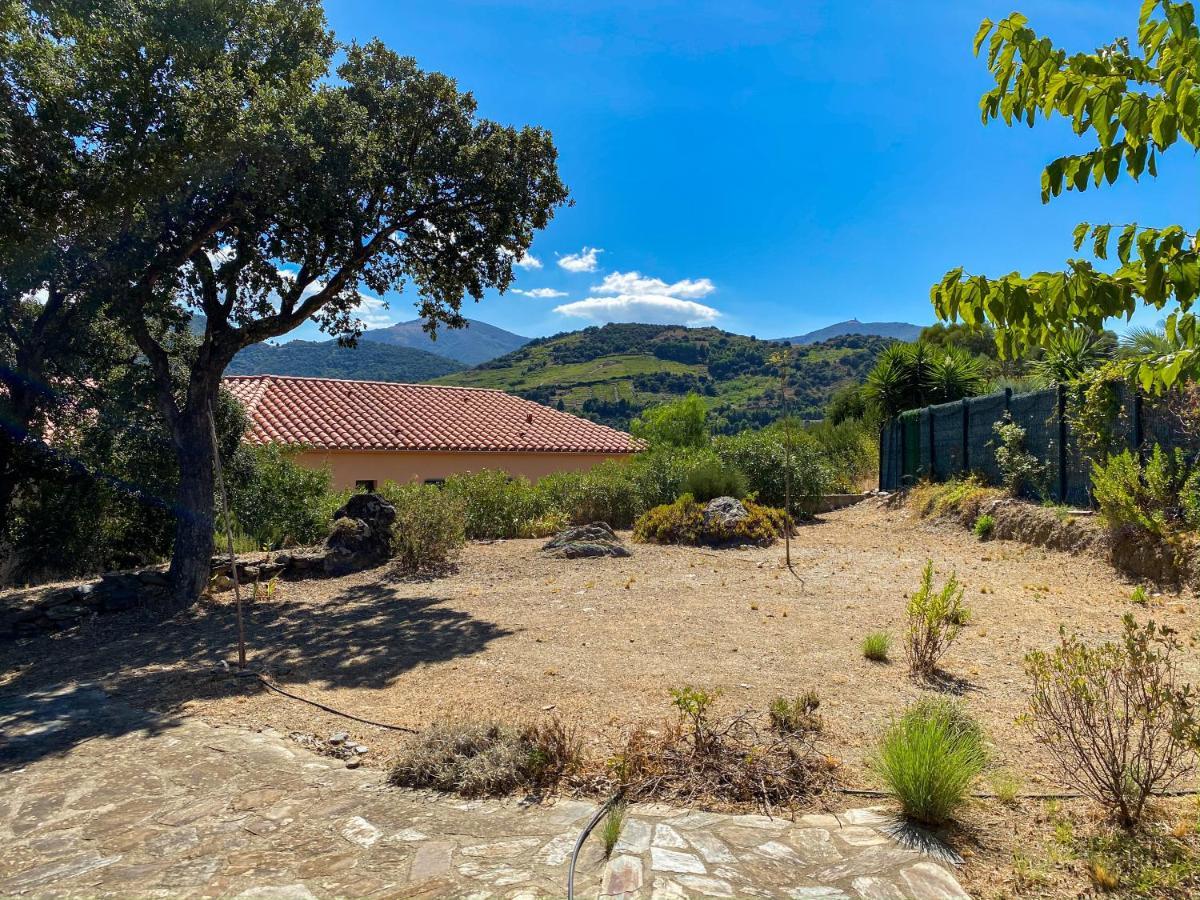 4Amb2 Villa De Caractere Avec Piscine Collective Collioure Exterior photo